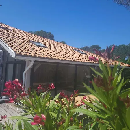 Avec Piscine Pour 12 Personnes *